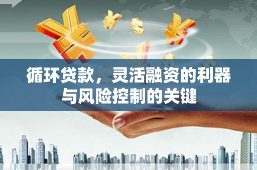 宁乡循环贷款，灵活融资的利器与风险控制的关键