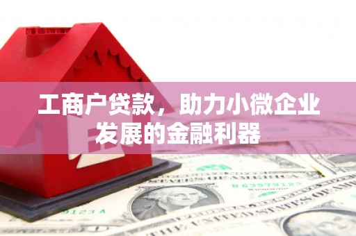 宁乡工商户贷款，助力小微企业发展的金融利器