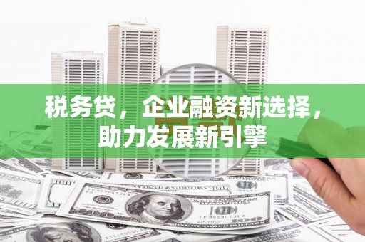 宁乡税务贷，企业融资新选择，助力发展新引擎