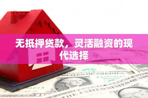 宁乡无抵押贷款，灵活融资的现代选择