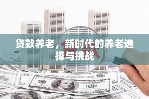 宁乡贷款养老，新时代的养老选择与挑战