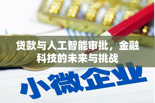 宁乡贷款与人工智能审批，金融科技的未来与挑战