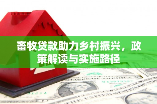 宁乡畜牧贷款助力乡村振兴，政策解读与实施路径