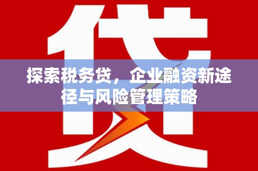 宁乡探索税务贷，企业融资新途径与风险管理策略