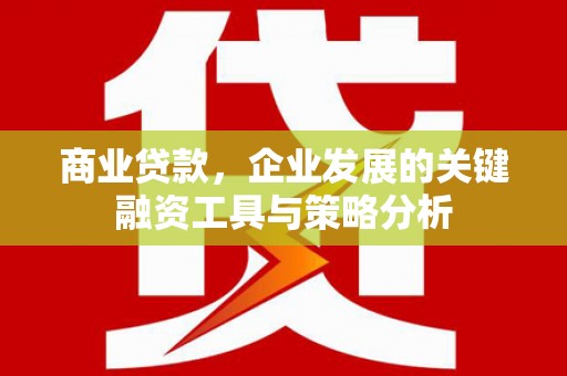 宁乡商业贷款，企业发展的关键融资工具与策略分析