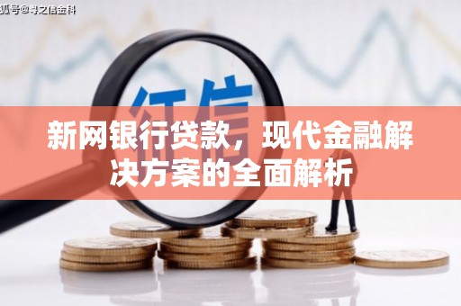 宁乡新网银行贷款，现代金融解决方案的全面解析