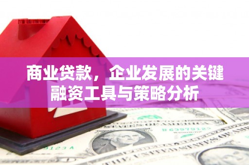 宁乡商业贷款，企业发展的关键融资工具与策略分析