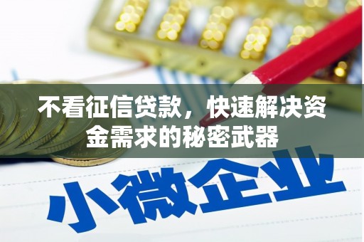 宁乡不看征信贷款，快速解决资金需求的秘密武器