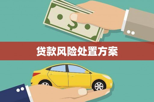宁乡贷款风险处置方案