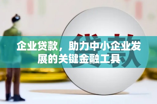 宁乡企业贷款，助力中小企业发展的关键金融工具
