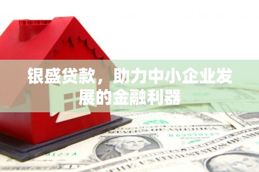 宁乡银盛贷款，助力中小企业发展的金融利器