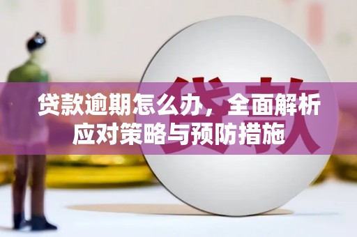宁乡贷款逾期怎么办，全面解析应对策略与预防措施