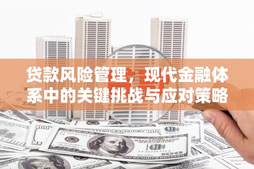 宁乡贷款风险管理，现代金融体系中的关键挑战与应对策略