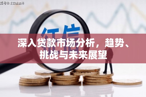 宁乡深入贷款市场分析，趋势、挑战与未来展望
