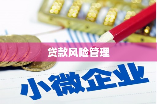 宁乡贷款风险管理