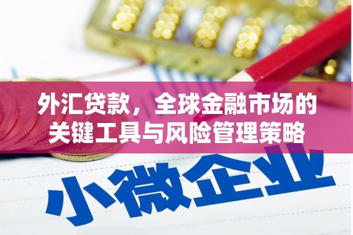 宁乡外汇贷款，全球金融市场的关键工具与风险管理策略