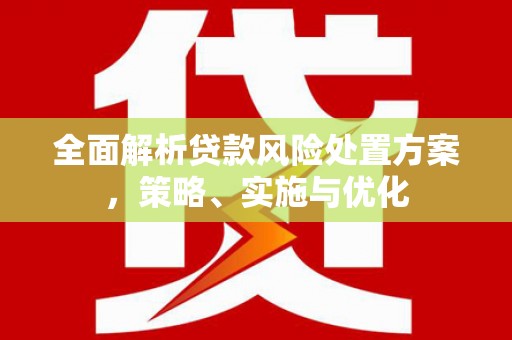 宁乡全面解析贷款风险处置方案，策略、实施与优化