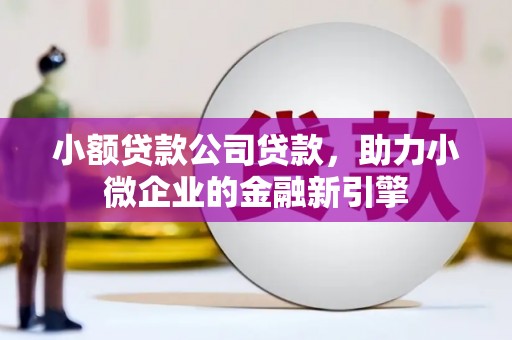 宁乡小额贷款公司贷款，助力小微企业的金融新引擎