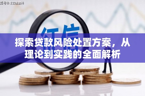 宁乡探索贷款风险处置方案，从理论到实践的全面解析