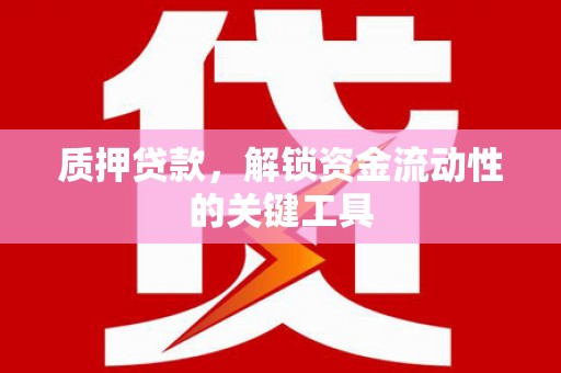 宁乡质押贷款，解锁资金流动性的关键工具