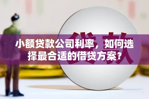 宁乡小额贷款公司利率，如何选择最合适的借贷方案？