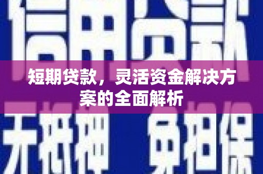宁乡短期贷款，灵活资金解决方案的全面解析