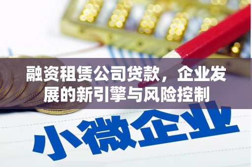 宁乡融资租赁公司贷款，企业发展的新引擎与风险控制