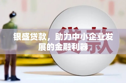 宁乡银盛贷款，助力中小企业发展的金融利器