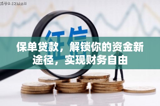 宁乡保单贷款，解锁你的资金新途径，实现财务自由