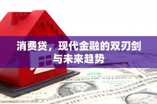 宁乡消费贷，现代金融的双刃剑与未来趋势