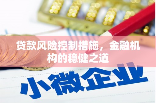 宁乡贷款风险控制措施，金融机构的稳健之道