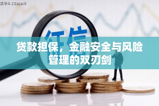 宁乡贷款担保，金融安全与风险管理的双刃剑