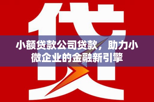 宁乡小额贷款公司贷款，助力小微企业的金融新引擎