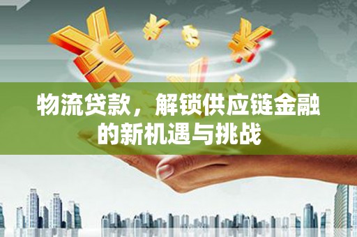宁乡物流贷款，解锁供应链金融的新机遇与挑战
