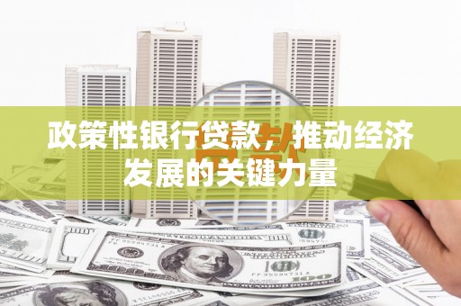 宁乡政策性银行贷款，推动经济发展的关键力量