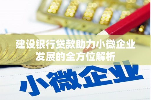 宁乡建设银行贷款助力小微企业发展的全方位解析