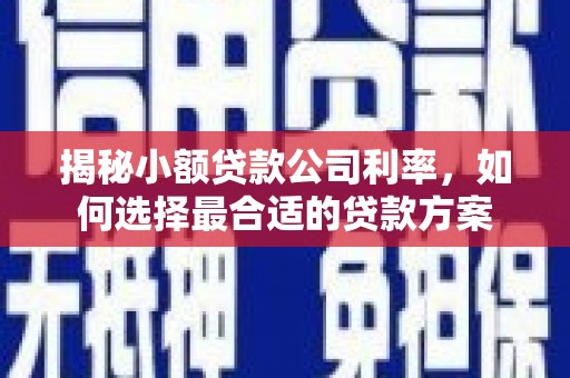 宁乡揭秘小额贷款公司利率，如何选择最合适的贷款方案