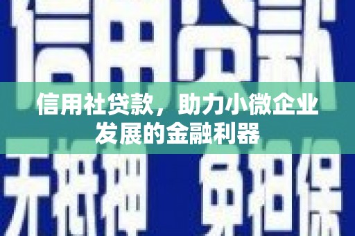 宁乡信用社贷款，助力小微企业发展的金融利器