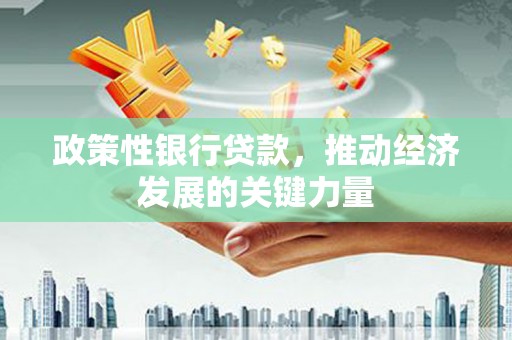 宁乡政策性银行贷款，推动经济发展的关键力量