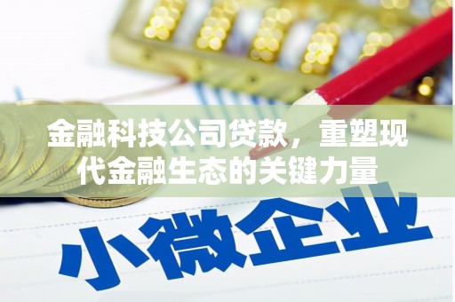 宁乡金融科技公司贷款，重塑现代金融生态的关键力量