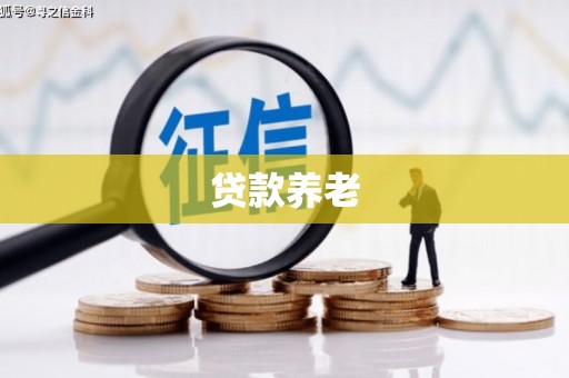 宁乡贷款养老