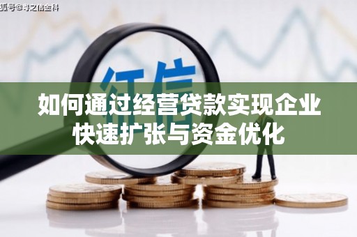宁乡如何通过经营贷款实现企业快速扩张与资金优化