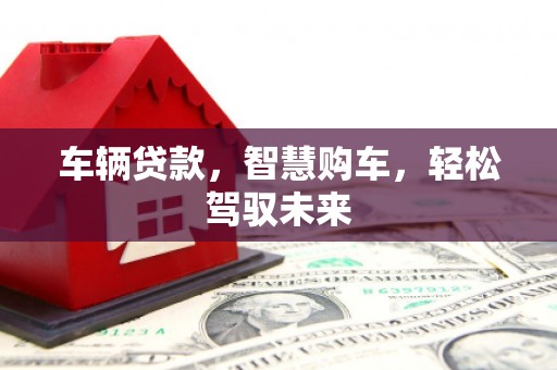 宁乡车辆贷款，智慧购车，轻松驾驭未来