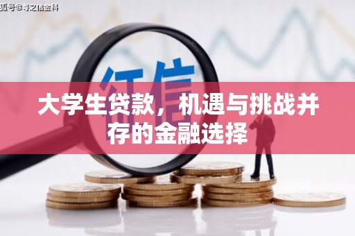 宁乡大学生贷款，机遇与挑战并存的金融选择