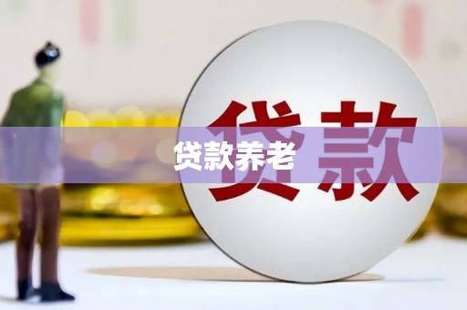 宁乡贷款养老