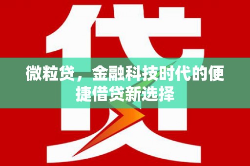 宁乡微粒贷，金融科技时代的便捷借贷新选择