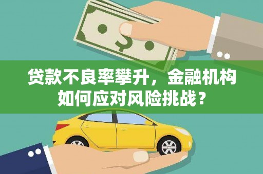 宁乡贷款不良率攀升，金融机构如何应对风险挑战？