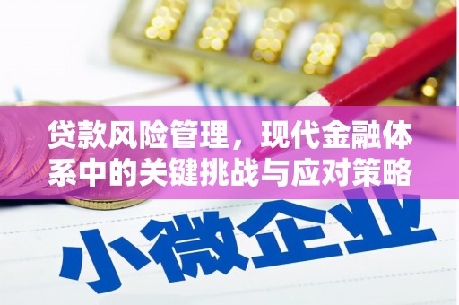 宁乡贷款风险管理，现代金融体系中的关键挑战与应对策略
