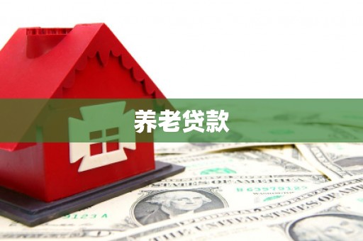 宁乡养老贷款