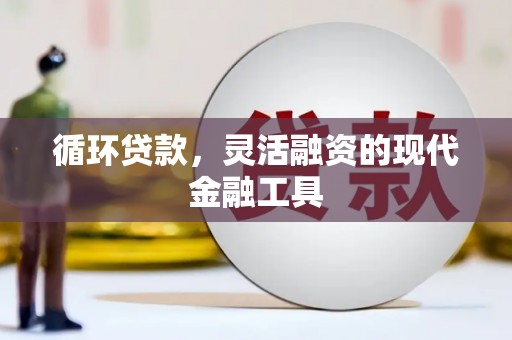 宁乡循环贷款，灵活融资的现代金融工具